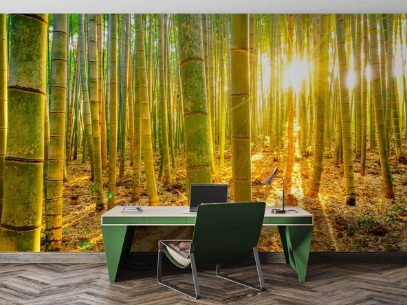 Bambu Ormanı Temalı Duvar Kağıdı - Resim 4