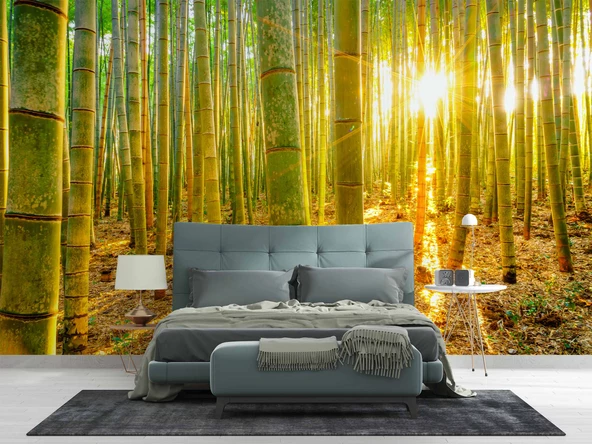 Bambu Ormanı Temalı Duvar Kağıdı - Resim 2