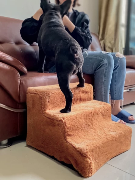 Kedi Köpek Merdiveni Yıkanabilir Sünger Merdiven - 6