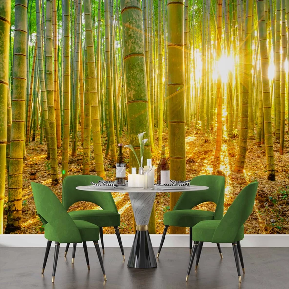 Bambu Ormanı Temalı Duvar Kağıdı - Resim 5