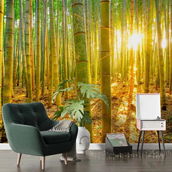 Bambu Ormanı Temalı Duvar Kağıdı - Resim 6