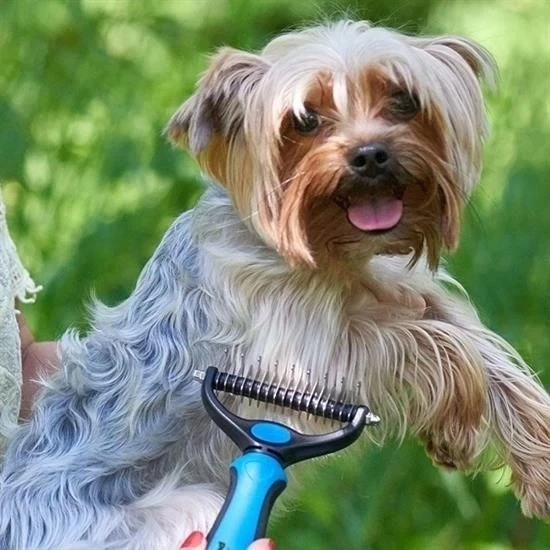 Plastik Saplı Metal Kedi Köpek Bakım Kıtık Tüy Topak Açıcı Tarak - 6