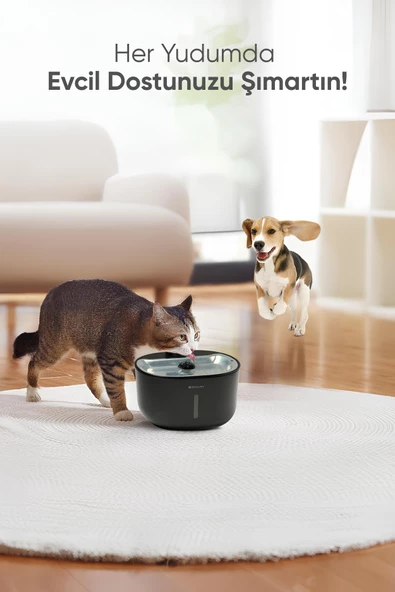 Şımart Akıllı Evcil Hayvan Sebili 3l Kapasite Ve Wi-fi Kontrollü Su Filtreleme - 3