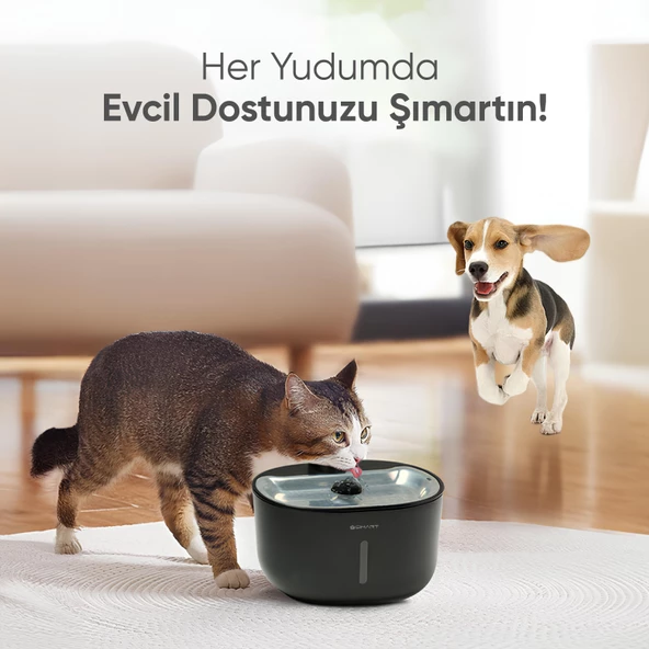 Akıllı Evcil Hayvan Sebili - 3