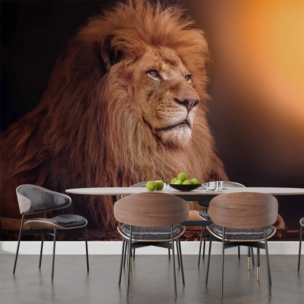 Aslan Temalı Duvar Kağıdı - 4