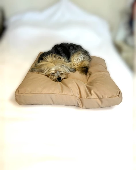 POUCH EKRU Kedi Köpek Minderi 65 X 65 CM - 2