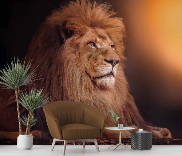 Aslan Temalı Duvar Kağıdı - 5