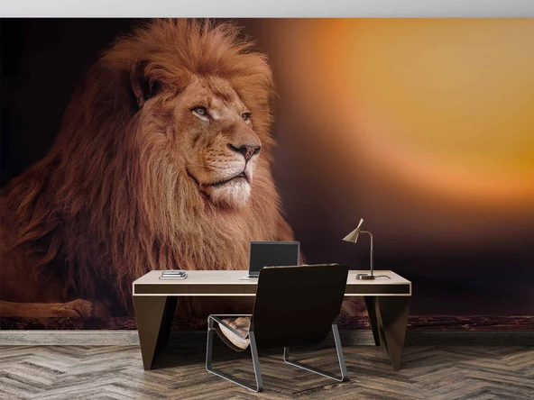 Aslan Temalı Duvar Kağıdı - 3