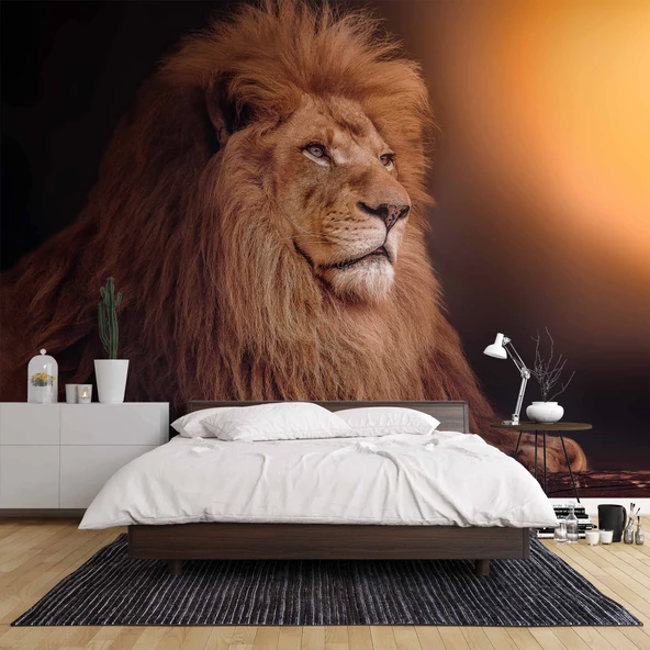 Aslan Temalı Duvar Kağıdı - 2