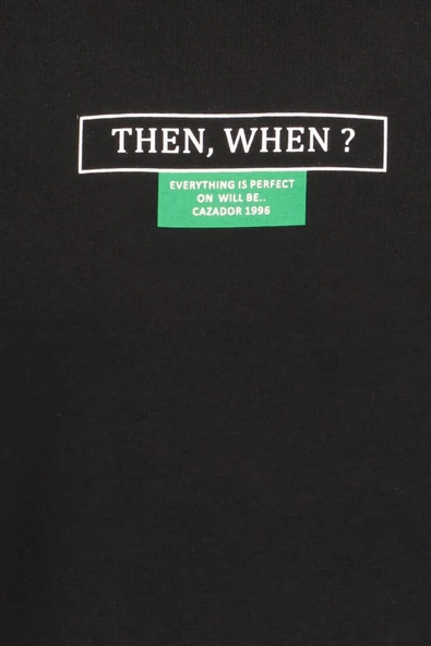 CAZADOR ERKEK 5224 3 İPLİK SWEAT 24KCEEO05224 - 9