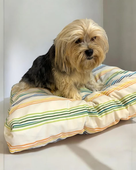 Rainbow Plain Kedi Köpek Minderi 80 x 70 cm - 3