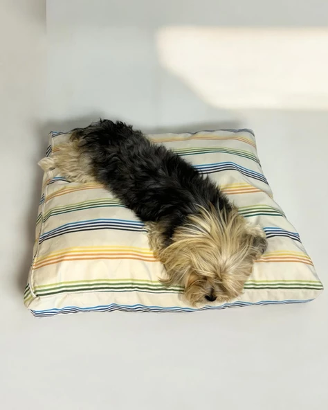 Rainbow Plain Kedi Köpek Minderi 80 x 70 cm - 2