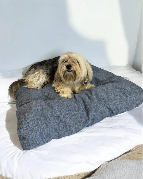 Denim Blue Kedi Köpek Minderi 70 x 60 cm