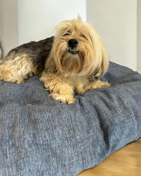 Denim Blue Kedi Köpek Minderi 70 x 60 cm - 2