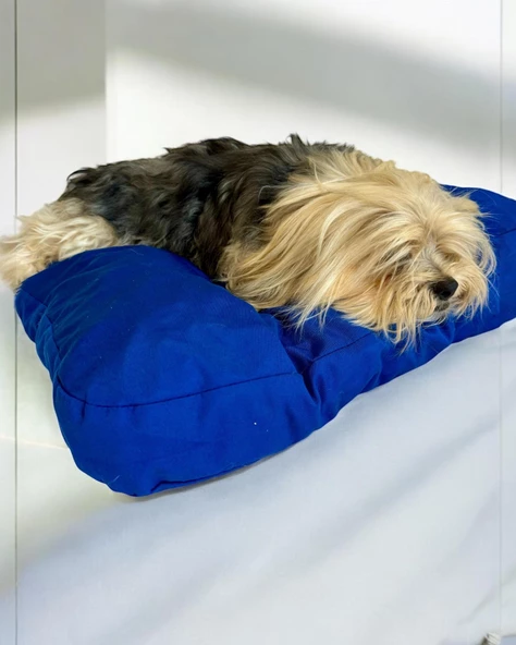 Navy Shine Kedi Köpek Minderi 65 x 65 cm - 3