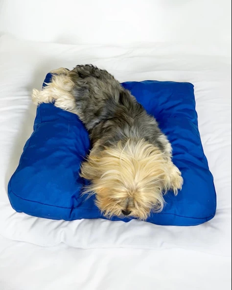 Bright Navy Kedi Köpek Minderi 80 x 65 cm - 3