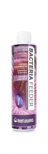 Reeflowers Bacteria Feeder Bakteri Kürü 250 ml