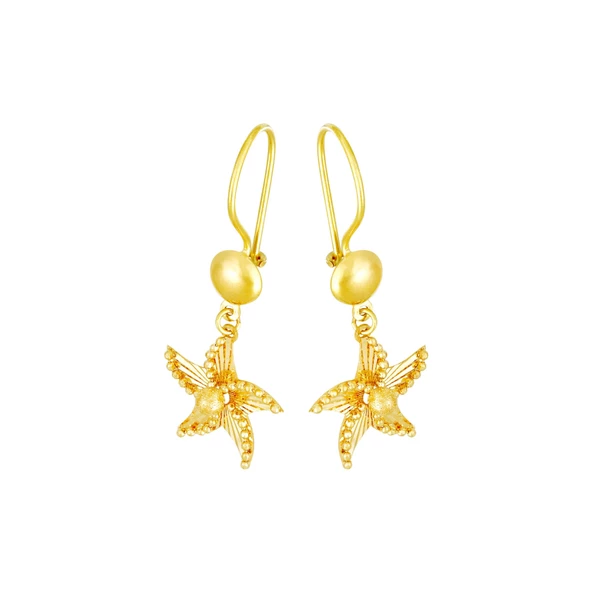 22 Ayar Altın Yıldız Küpe T067150 ürün görseli 1