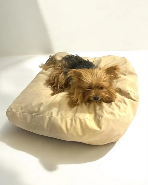 Tiny Pouch Kedi Köpek Minderi 60 x 50  cm - 2