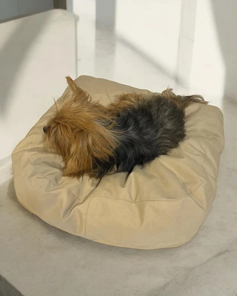 Tiny Pouch Kedi Köpek Minderi 60 x 50  cm - 3