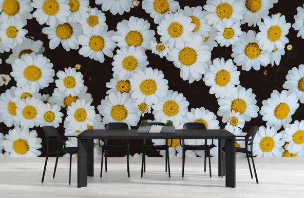 Papatya Temalı Duvar Kağıdı Baskı - Resim 5