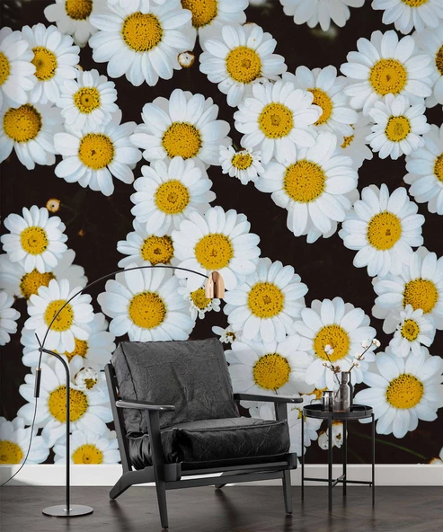 Papatya Temalı Duvar Kağıdı Baskı - Resim 6