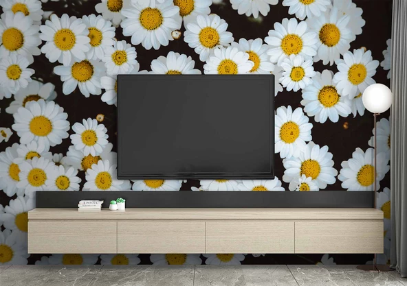 Papatya Temalı Duvar Kağıdı Baskı - Resim 3