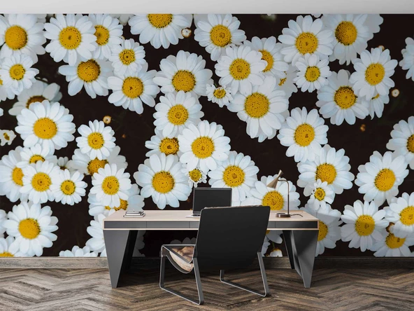 Papatya Temalı Duvar Kağıdı Baskı - Resim 4