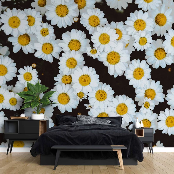 Papatya Temalı Duvar Kağıdı Baskı - Resim 2