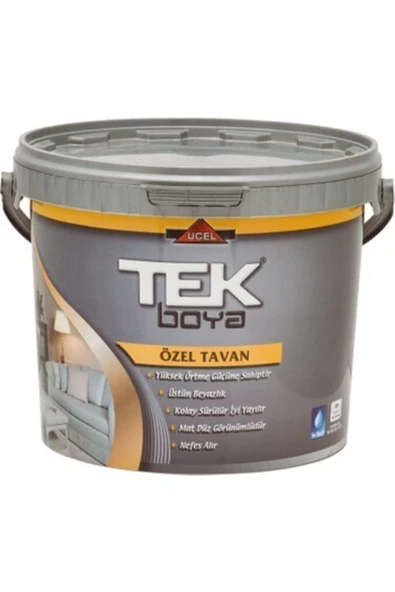 TEK BOYA Tek Özel Tavan 20 Kg 11,5 Lt Beyaz