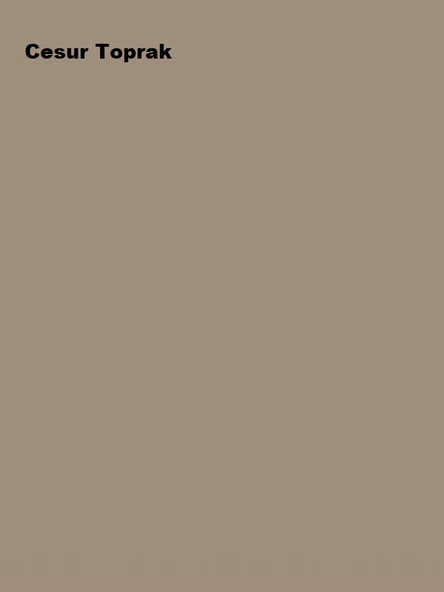 Marshall Pastel Yarı Mat Boyası Cesur Toprak 2,5 Lt (3,5 Kg) - Resim 2