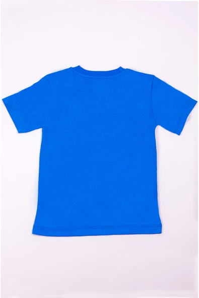 ERKEK ÇOCUK TSHİRT BASKILI A17 - 3