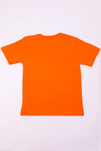 ERKEK ÇOCUK TSHİRT BASKILI A17 - 6