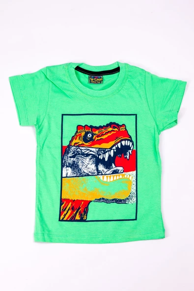 ERKEK ÇOCUK TSHİRT DİNOZOR BASKILI A28 - 5