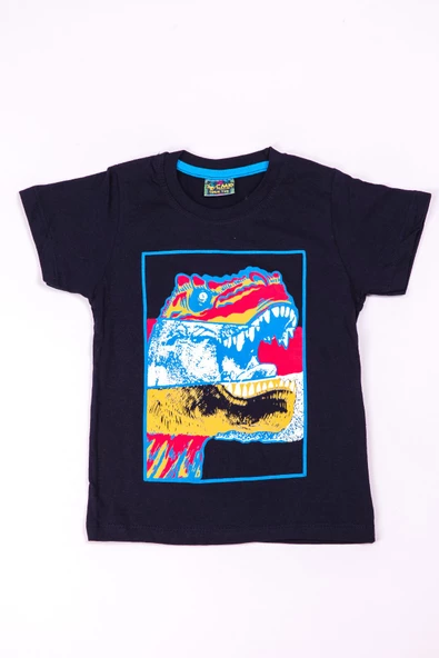 ERKEK ÇOCUK TSHİRT DİNOZOR BASKILI A28 - 7