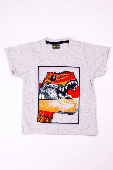 ERKEK ÇOCUK TSHİRT DİNOZOR BASKILI A28 - 9