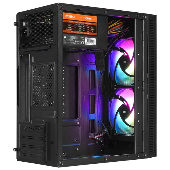 Kasa Oyuncu Peak 300W 2x120 MM RGB Fan Akrilik Yan Panel M-ATX Mini-T Everest MINION - 3