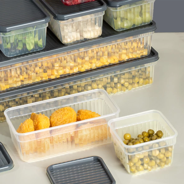 Porsima 2014 32'li Buzluk Buzdolabı Düzenleyici Derin Dondurucuya Uygun Bakliyat Saklama Kabı Seti -Antrasit - Resim 5