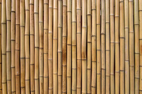 3 Boyutlu Bambu Temalı Duvar Kağıdı - 7