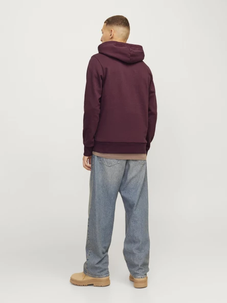 JJALVIS SWEAT HOOD Wine Wine L - 5