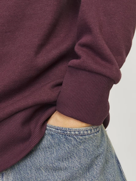 JJALVIS SWEAT HOOD Wine Wine L - 6