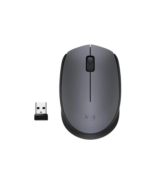 Logitech M170 910-004642 Optik Kablosuz Mouse