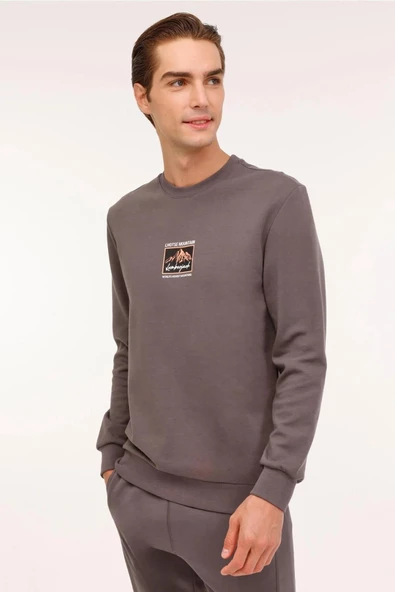 LUMBERJACK ML GREYS 16URB2029 4PR ERKEK SWEATSHİRT