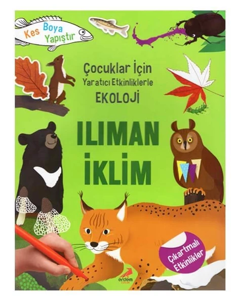 Yaratıcı Etkinliklerle Ekoloji Ilıman İklim