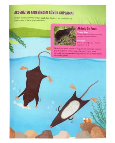 Yaratıcı Etkinliklerle Ekoloji Akdeniz İklimi - Resim 2