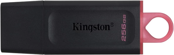 Kingston Exodia USB 3.2 Gen1 DTX/256GB 256 GB Flash Bellek