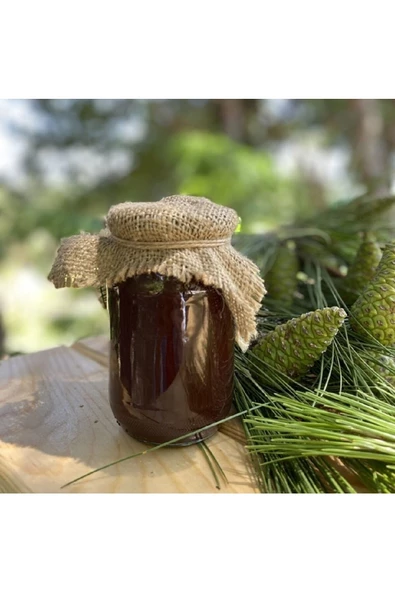 Çam Kozalağı Özü 500 Ml