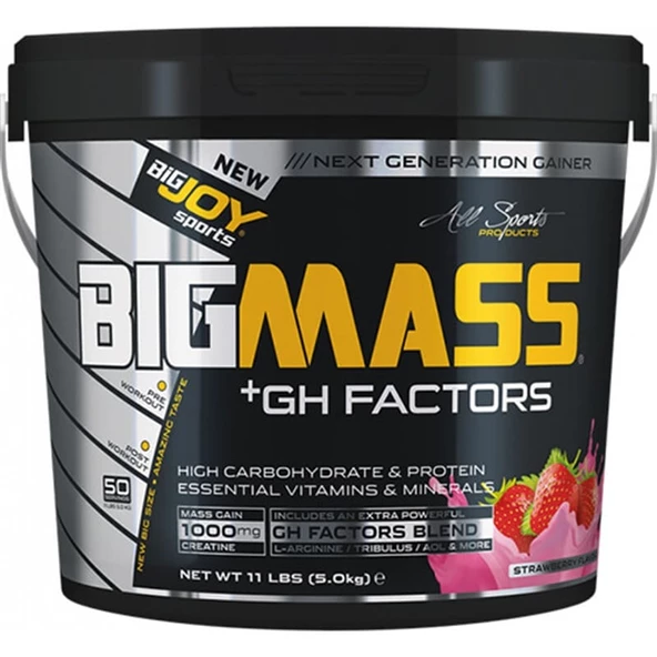 Bigjoy Sports BIGMASS Gainer + GH FACTORS 5000 gr Çilek