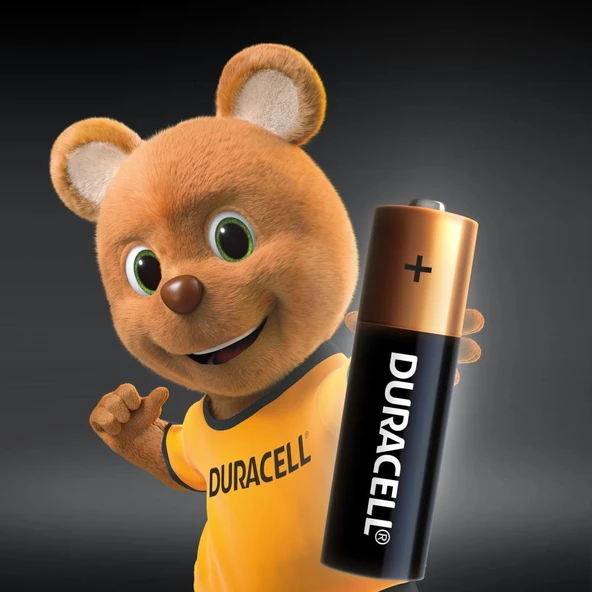 Duracell Alkalin AA Kalem Piller, 10 Lu Paket - 2