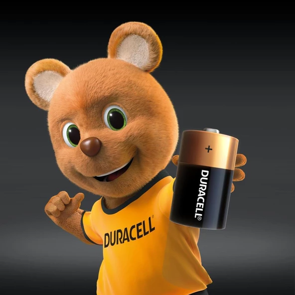 Duracell Alkalin D Piller 2 Li Paket - 2